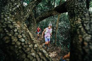 BIB: 
                            <button type="button" onclick="openModal(25392308)" class="btn btn-primary btn-sm float-right btn-popup" data-toggle="modal" data-target=".modal-high-quality">
                        <i class="fas fa-shopping-cart"></i> Add to Cart
                    </button>
                                            <button type="button" onclick="isThisMe(25392308, true)" class="btn btn-success btn-sm float-right btn-popup btn-isme hidden" data-toggle="tooltip" data-placement="bottom" title="นี่คือรูปของคุณใช่ไหม คลิกที่นี่เพื่อเอาเข้าอัลบั้ม">
                        <i class="fas fa-plus"></i> Add to album
                    </button>
                    <button type="button" onclick="isThisMe(25392308, false)" class="btn btn-warning btn-sm float-right btn-popup btn-isnotme hidden">
                        <i class="fas fa-ban"></i> Remove from album
                    </button>